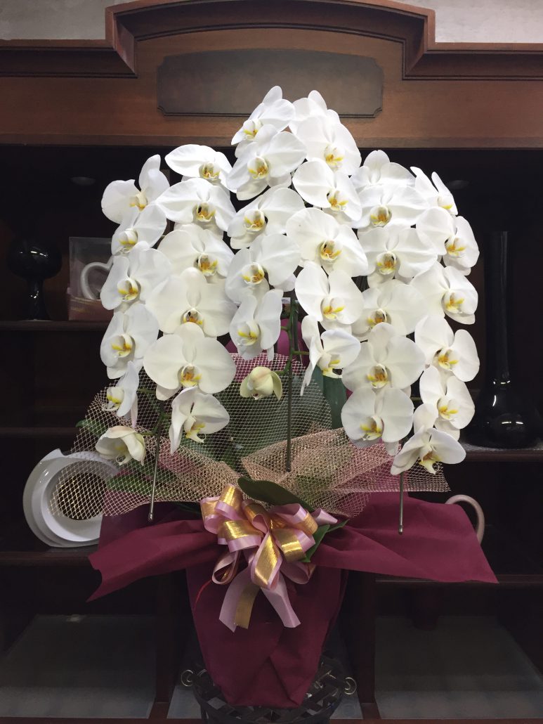 Kobeフラワーグリーン 神戸 花屋 西区 明石 スタンド花 開店祝い 胡蝶蘭